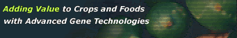 Adding Value to Crops and Foods with Advanced Gene & GRAS Technologies